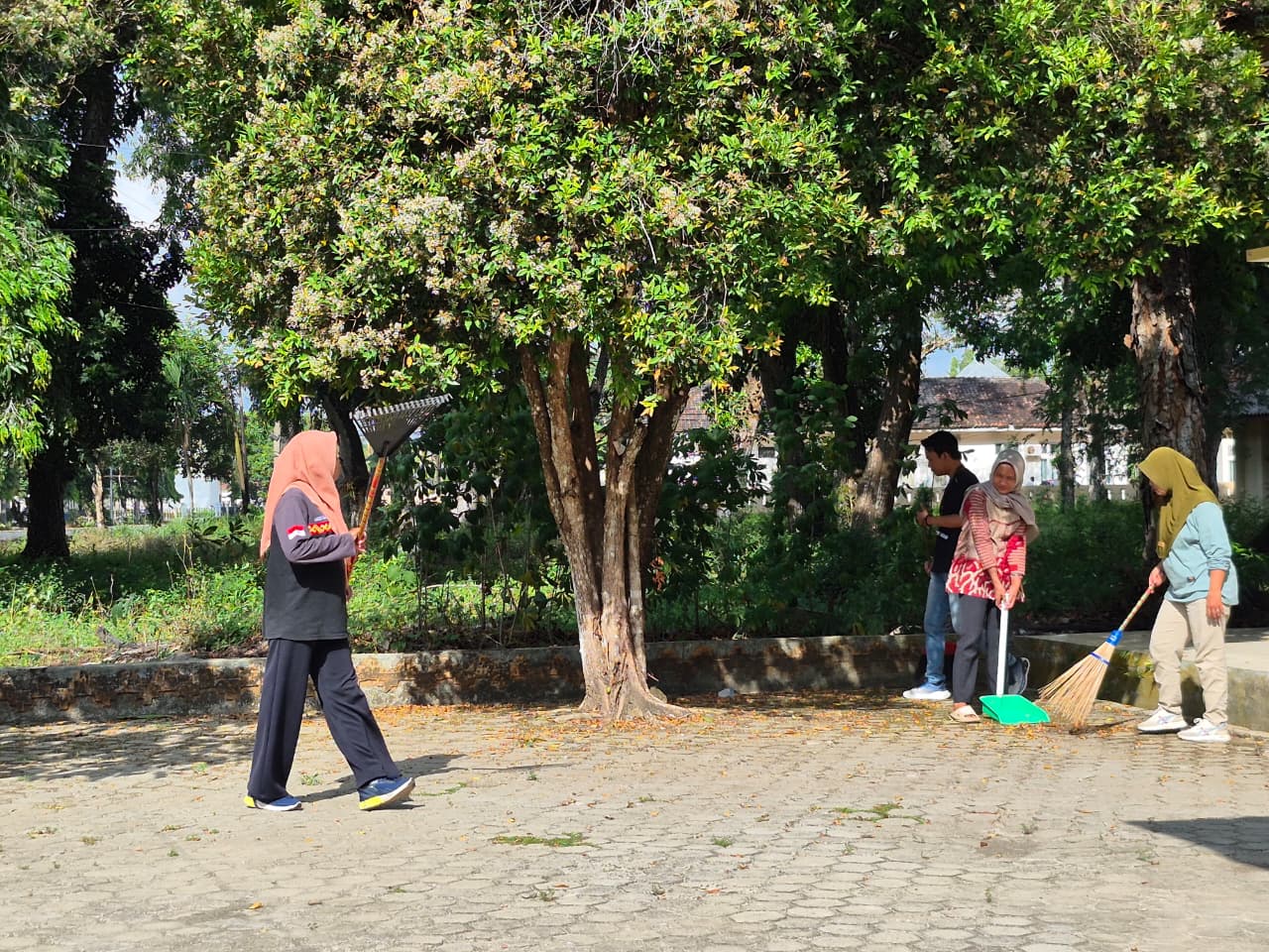 Kegiatan Kurve