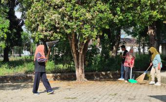 Kegiatan Kurve